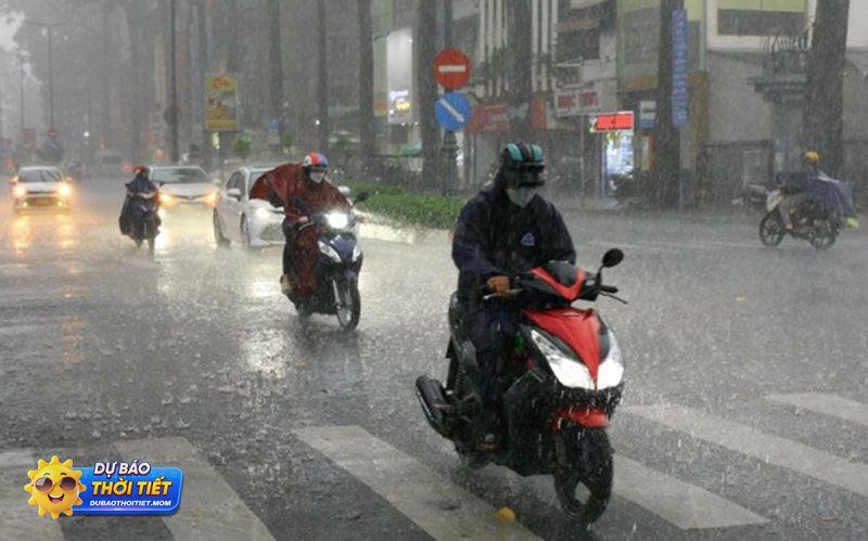 Thời tiết Đà Lạt - Mưa, độ ẩm và gió