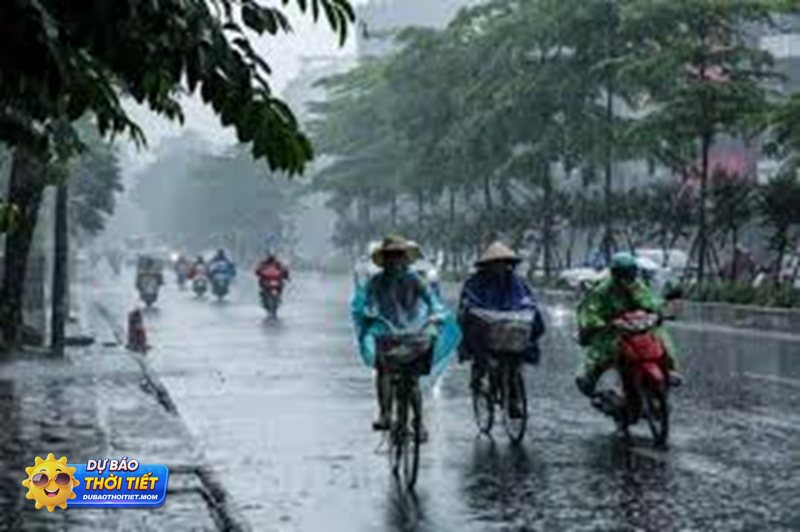 Thời tiết Nghệ An 10 ngày tới - Xu hướng chung trong 10 ngày