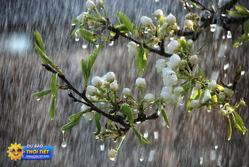 Thời tiết hôm nay có mưa không - Khung giờ trong ngày quyết định khả năng mưa