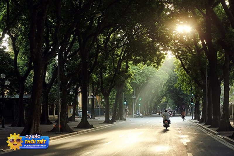 Thời tiết Thái Bình hôm nay - Buổi sáng: nắng lên nhanh, cần tranh thủ việc ngoài trời
