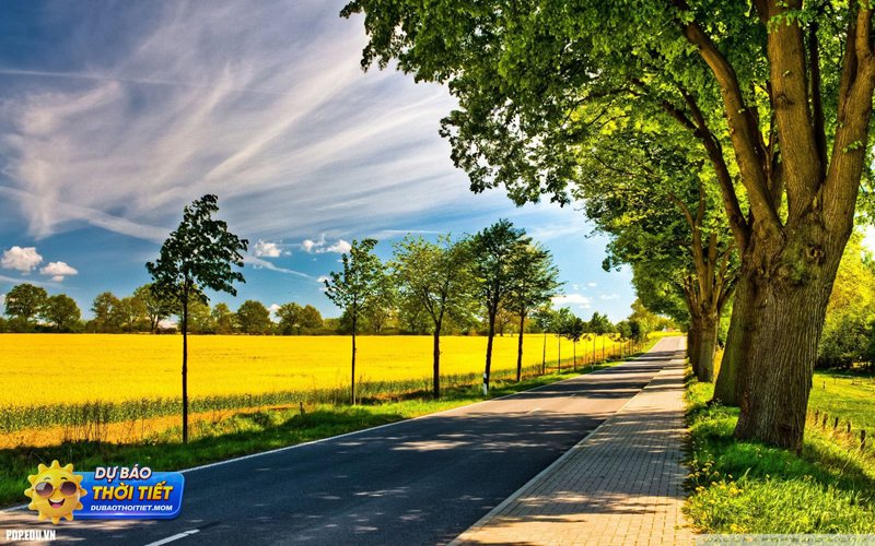 Thời tiết Ninh Bình 10 ngày tới - Khả năng mưa, gió và thời điểm dễ thay đổi Thời tiết Ninh Bình 10 ngày tới - Khả năng mưa, gió và thời điểm dễ thay đổi