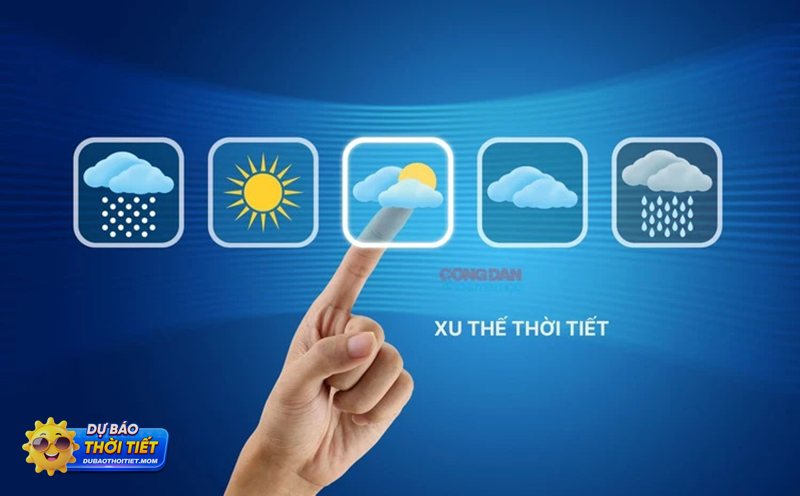 Thời tiết Hà Tĩnh 10 ngày tới - Diễn biến từng ngày dễ theo dõi